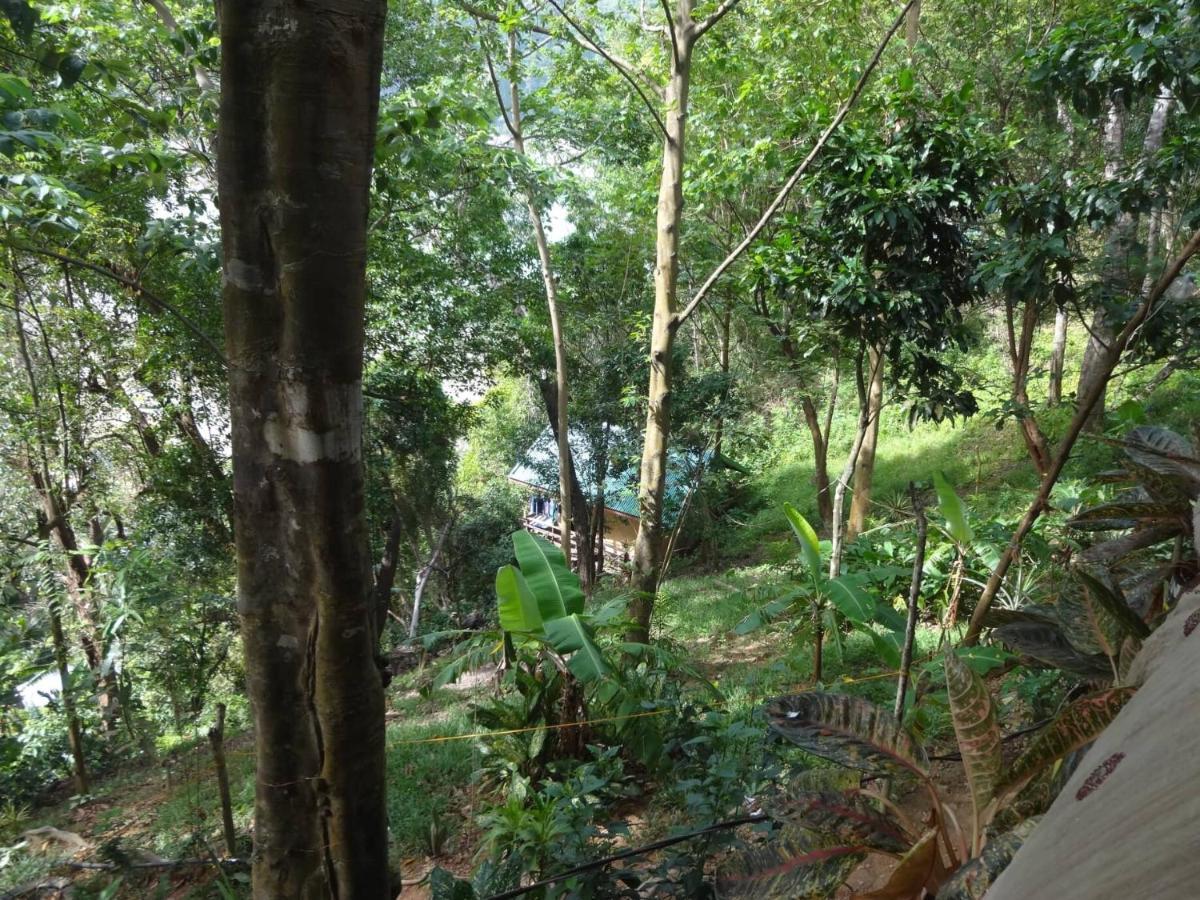 Camp Talusi Hilltop Overlooking إل نيدو المظهر الخارجي الصورة